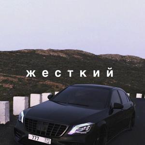 强十二岁的女孩小说免费阅读
